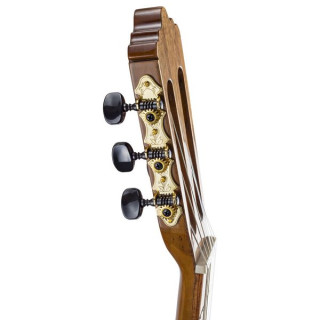 Ламанчский Арче La Mancha Arce