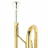 Труба Bach ML19043 Bb- Trumpet lacquered Bach ML19043 Bb- Trumpet lacquered