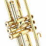 Труба Bach ML19043 Bb- Trumpet lacquered Bach ML19043 Bb- Trumpet lacquered