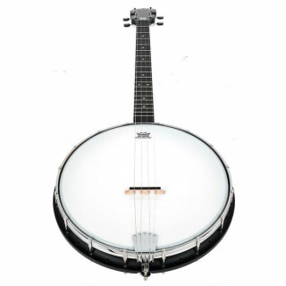 Банджо Gold Tone AC-4 Openback Tenor Banjo