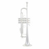 Bach LR180S72 Bb-Trumpet Bach LR180S72 Bb-Trumpet