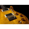 PRS DGT Птицы MS PRS DGT Birds MS