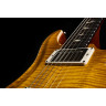 PRS DGT Птицы MS PRS DGT Birds MS