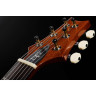 PRS DGT Птицы MS PRS DGT Birds MS
