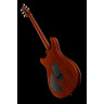 PRS DGT Птицы MS PRS DGT Birds MS