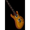 PRS DGT Птицы MS PRS DGT Birds MS