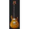 PRS DGT Птицы MS PRS DGT Birds MS