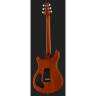 PRS DGT Птицы MS PRS DGT Birds MS