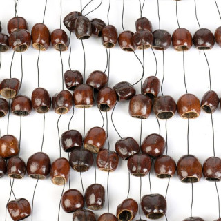 Села Сид Чайм Пала Sela Seed Chime Pala