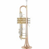 Thomann TR 500 GL Bb-Труба Thomann TR 500 GL Bb-Trumpet