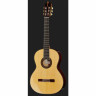 Классическая гитара Amalio Burguet Artesano Spruce w/ Case Amalio Burguet Artesano Spruce w/ Case