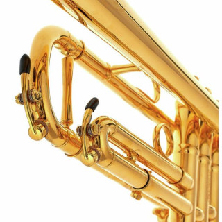 Шагерл Джеймс Моррисон Bb-Trp. GB Schagerl James Morrison Bb-Trp. GB