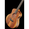 Акустическая бас-гитара Taylor GS Mini-e Koa Bass LH