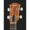 Акустическая бас-гитара Taylor GS Mini-e Koa Bass LH