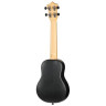 Рейс Tuc-Концертная гавайская гитара Ucu Flight Tuc-Ucu Concert Ukulele
