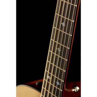 Тейлор Кастом GSce-LTD Баритон 8 Taylor Custom GSce-LTD Baritone 8