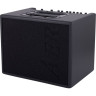 Комбоусилитель AER Compact Classic Pro