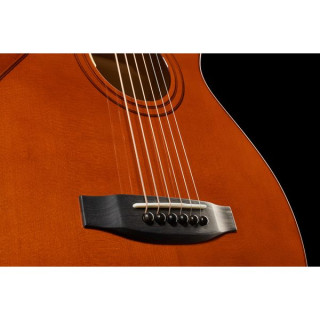 Лейквуд C-20 Выпуск 2023 Lakewood C-20 Edition 2023