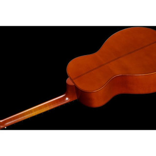 Лейквуд C-20 Выпуск 2023 Lakewood C-20 Edition 2023