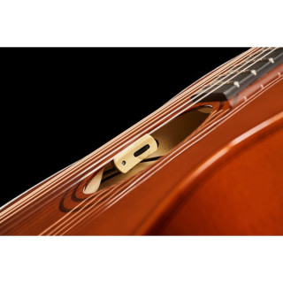 Лейквуд C-20 Выпуск 2023 Lakewood C-20 Edition 2023