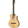 Классическая гитара Taylor 212ce-N Plus