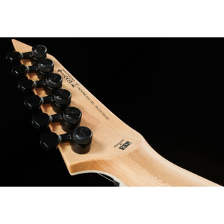 ESP LTD M-1001NT QM Charc. Взрыв ESP LTD M-1001NT QM Charc. Burst