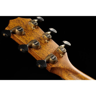 Taylor Custom #31 Гр. Orch. D.S.Burst Taylor Custom #31 Gr. Orch. D.S.Burst