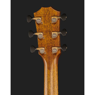 Taylor Custom #31 Гр. Orch. D.S.Burst Taylor Custom #31 Gr. Orch. D.S.Burst