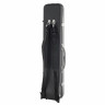 высокотехнологичный корпус bam Panther Erhu Case BK bam Panther Hightech Erhu Case BK
