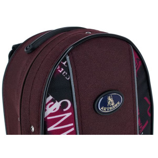 Кейс для скрипки Artonus Cadem Sport Violin Case CS-2 Artonus Cadem Sport Violin Case CS-2