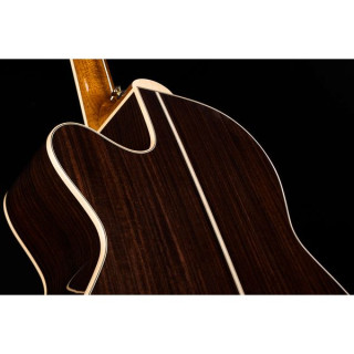 Takamine P7NC с мягким чехлом Takamine P7NC w/Softcase