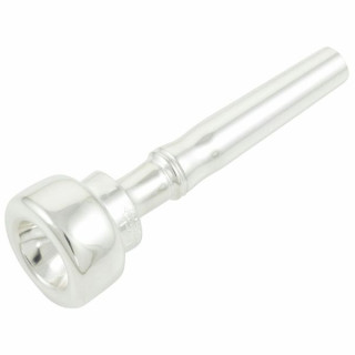 Изготовленная на заказ латунная труба Austin Стандартный медвежонок Austin Custom Brass Trumpet Standard Baby Bear