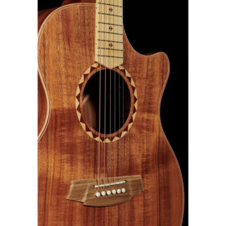 Акустическая гитара Cole Clark AN2EC-BLBL-SB Satin Box Fretb. Cole Clark AN2EC-BLBL-SB Satin Box Fretb.