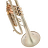 AR Resonance Feroce Bb-Труба AR Resonance Feroce Bb-Trumpet