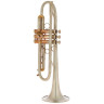 AR Resonance Feroce Bb-Труба AR Resonance Feroce Bb-Trumpet