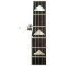 Банджо Gold Tone WL-250 Gold Tone WL-250