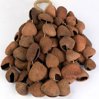 Сela Seed Shaker 6-Row Pangi Sela Seed Shaker 6-Row Pangi