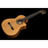 Alhambra 5 P CW E8 с сумкой для концертов Alhambra 5 P CW E8 w/Gig Bag