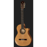 Alhambra 5 P CW E8 с сумкой для концертов Alhambra 5 P CW E8 w/Gig Bag