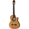 Alhambra 5 P CW E8 с сумкой для концертов Alhambra 5 P CW E8 w/Gig Bag