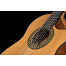 Alhambra 5 P CW E8 с сумкой для концертов Alhambra 5 P CW E8 w/Gig Bag