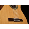 Alhambra 5 P CW E8 с сумкой для концертов Alhambra 5 P CW E8 w/Gig Bag