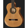 Alhambra 5 P CW E8 с сумкой для концертов Alhambra 5 P CW E8 w/Gig Bag