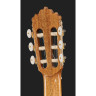 Alhambra 5 P CW E8 с сумкой для концертов Alhambra 5 P CW E8 w/Gig Bag