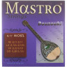 Струны для бузуки Mastro Bouzouki 8 Strings 011 NW Mastro Bouzouki 8 Strings 011 NW