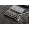 Древесный уголь Schecter California Classic Schecter California Classic Charcoal