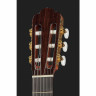 Астурийская прелюдия Кедровая Asturias Prelude Cedar