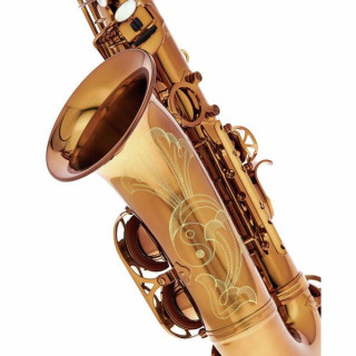 Альт-саксофон Rampone & Cazzani Performance Line Alto Sax Rampone & Cazzani Performance Line Alto Sax
