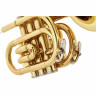 Thomann TR 25 Bb-Карманная труба Thomann TR 25 Bb-Pocket Trumpet