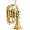 Thomann TR 25 Bb-Карманная труба Thomann TR 25 Bb-Pocket Trumpet